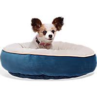 EveryYay Essentials Plush Bolster Round Dog Bed