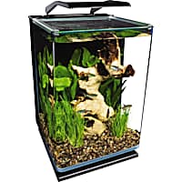 Petco 65 gallon hot sale aquarium