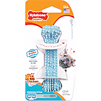Nylabone Blue Bone Chicken Puppy Chew