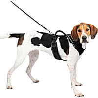 PetSafe EasySport Black Dog Harness