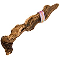 T-Rex Grapevine
