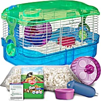 Hamster stuff 2025 at petco