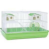 Hamster stuff at petco store