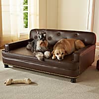 Enchanted Home Pet Library Sofa Dog Bed in Brown