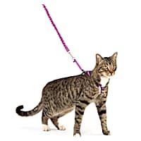 PetSafe Gentle Leader Come with Me Kitty Harness & Bungee Leash in Dusty Rose