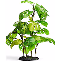 Imagitarium Stand Araceae Plant Terrarium Decor