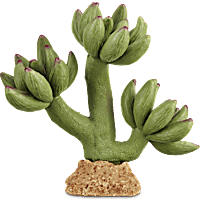 Imagitarium Pink Tipped Cactus Reptile Decor