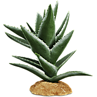 Imagitarium Aloe Plant Reptile Decor