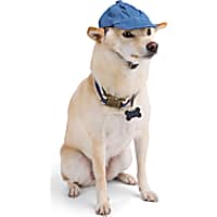Reddy Washed Twill Dog Hat
