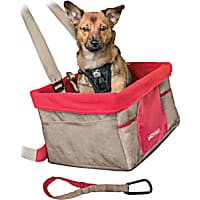 Dog car harness petco discount