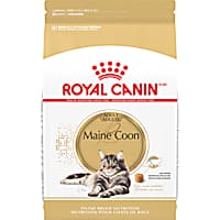 Royal Canin Feline Breed Nutrition Maine Coon Adult Dry Cat Food