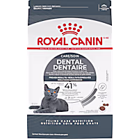Royal Canin Feline Care Nutrition Dental Care Adult Dry Cat Food