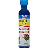 API Turtle Fix