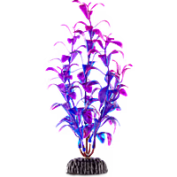 Imagitarium Purple & Blue Foreground Aquarium Plant