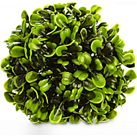 Imagitarium Hedge Ball Aquatic Decor