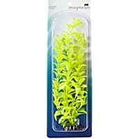 Imagitarium Light Green Background Aquarium Plant