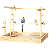You & Me 3-in-1 Playground for Birds