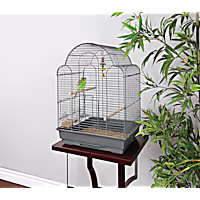 You & Me Parakeet Scallop Top Cage