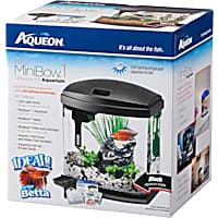 Aqueon MiniBow Black LED Desktop Fish Aquarium Kit