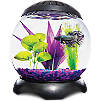 Imagitarium Lotus Tank