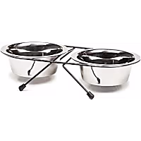 EveryYay Dining In Stainless Steel Double Diner for Dogs