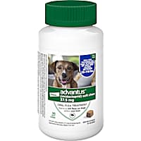 Pill that kills fleas clearance