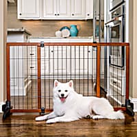 Expandable Pet Gates for Cats Cat Doors Pet Gates Petco