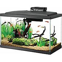 Fish tank starter kit deals