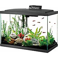 40 gallon breeder tank store petco