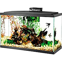 20 gallon fish cheap tank starter kit