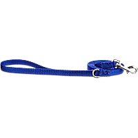Bond & Co. 6ft Blue Lead