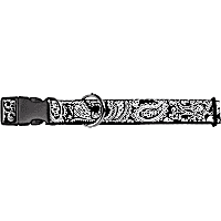 Buckle-Down Black Skulls Dog Collar