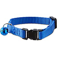 Ferret harness petco new arrivals