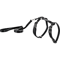 Good2Go Black Cat Harness & Lead Set