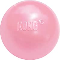 KONG Puppy Ball with Hole Assorted Dog Toy