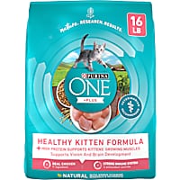 Kitten formula shop petco