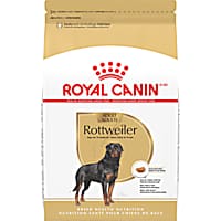 Royal Canin Breed Health Nutrition Rottweiler Adult Dry Dog Food