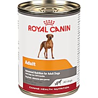 Royal Canin Canine Health Nutrition Adult In Gel Wet Dog Food