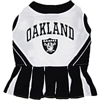 Pets First Las Vegas Raiders NFL Cheerleader Outfit