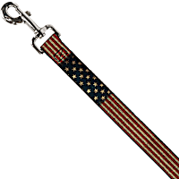 Buckle-Down Americana Dog Leash