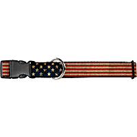 Buckle-Down Americana Dog Collar