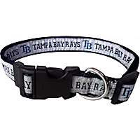 Pets First Tampa Bay Rays MLB Dog Collar