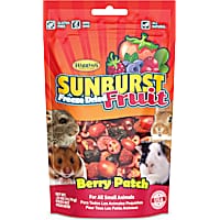 Higgins Sunburst Berry Patch Gourmet Treats for Small Animals