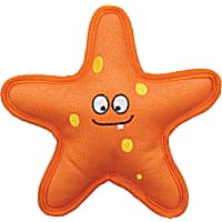 KONG Belly Flops Starfish Dog Toy