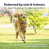 PetSafe Stay & Play Wireless Fence Replaceable Battery Receiver Collar for Dogs
