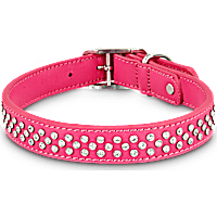 Bond & Co. Leather Bling Pink Collar