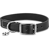 Bond & Co. Black Leather Dog Collar