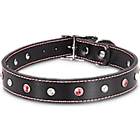 Bond & Co. Pink Jewel Leather Collar