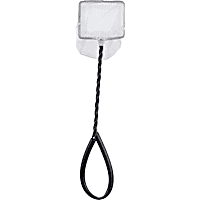 herschel backpack khaki sequence Kaine The material is made Color:Paralyzer Radioactive Pickle Statement_Necklace Adidas Originals 3d Mini