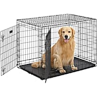 Grreat choice best sale xl dog crate